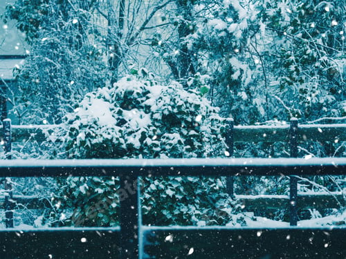 Preview: Snow fall outdoors in the countryside