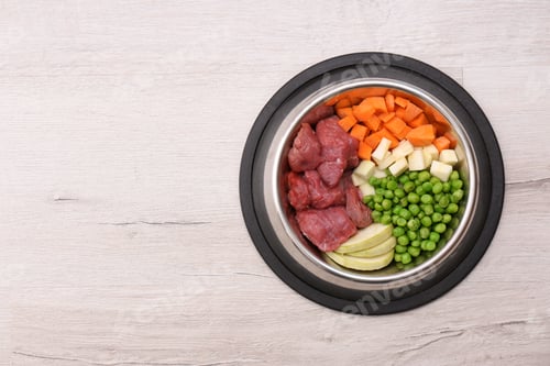 Preview: Bowl with organic dog food on light background, top view. Space for text