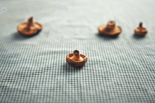 Preview: Mushrooms on a blue and white checkered tablecloth