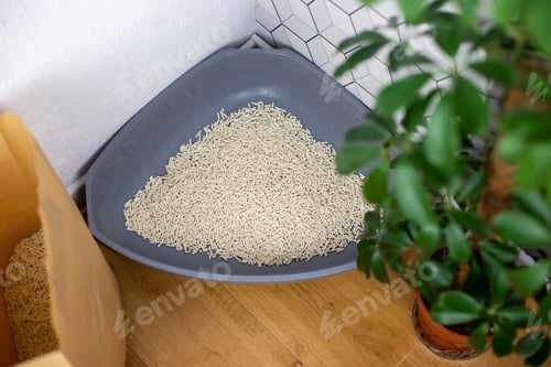 Preview: Gray plastic corner cat tray with light filler granules, indoors