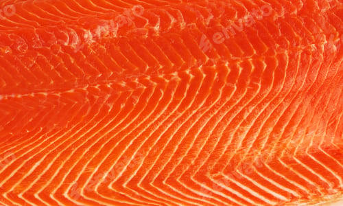 Preview: fresh salmon fillet background