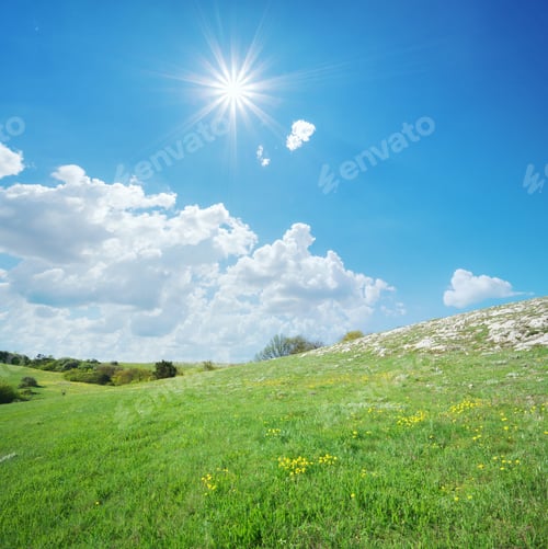 Preview: Fog in green mountain meadow.