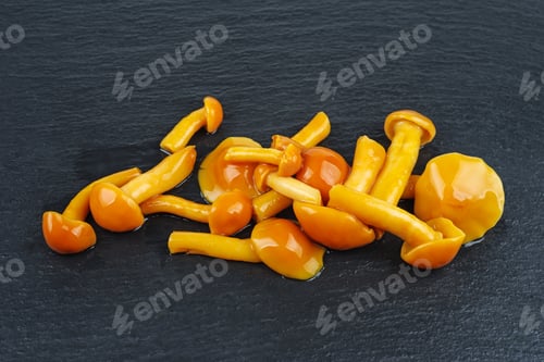 Preview: Marinated honey agarics over black stone slate background