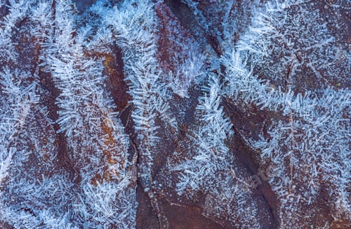 Preview: Frozen leaf with ice crystals, winter background