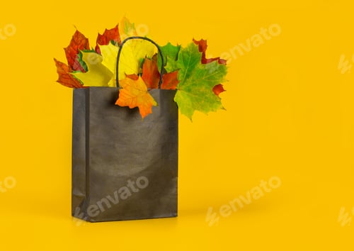 Preview: Autumn leaves in a bag, orange background. Seasonal composition, template with place for text
