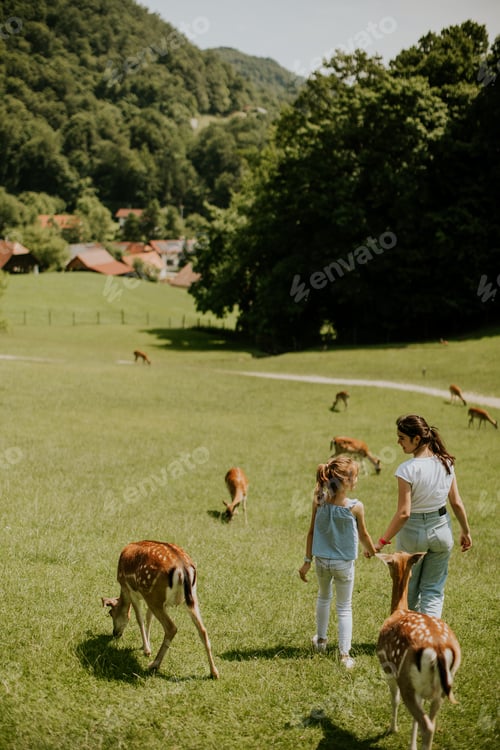 Preview: Little girls walking among reindeer herd on the sunny day