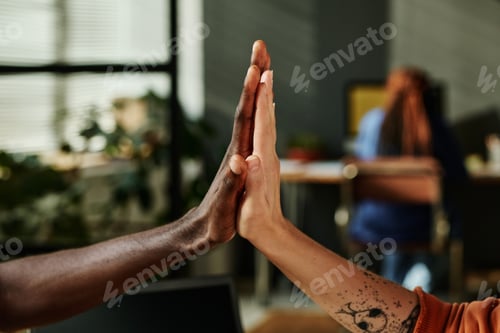 Preview: Hands of two young intercultural office workers during high five