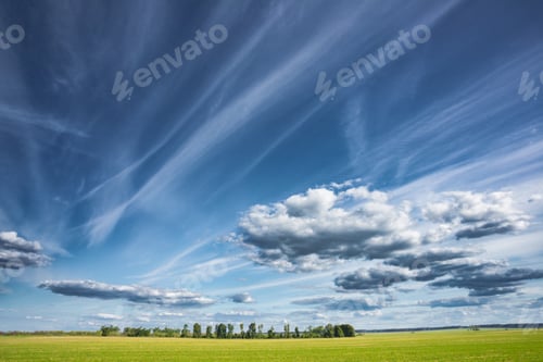 Vorschau: Grünes Weizenfeld in der Frühlingssaison. Landwirtschaftliche ländliche Landschaft