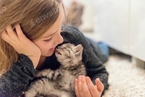 Preview: Girl Cuddling a Gray Tabby Kitten Indoors