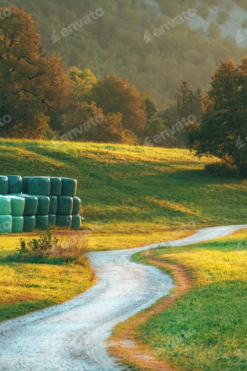 Preview: Winding gravel road in Bohinj region countryside in tranquil summer sunrise