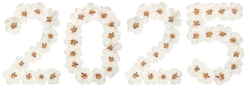 Preview: Inscription 2025, from natural white flowers of apricot tree, isolated on white background