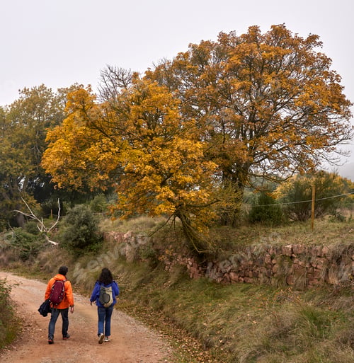 Preview: Couple Ealking Through the Autumnal Countryside in a Cloudy Day.
