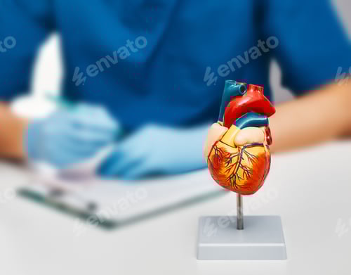 Preview: Close-up, an anatomical model of human heart on doctor table in a cardiology office. Heart health