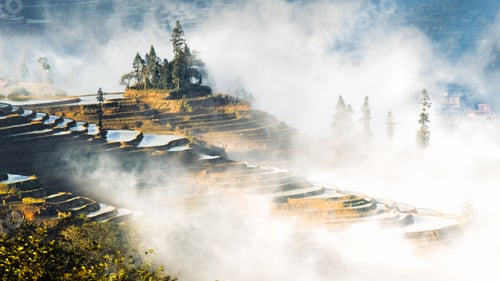 Preview: Stunning aerial view of a small misty mountain slope with green rice plantations