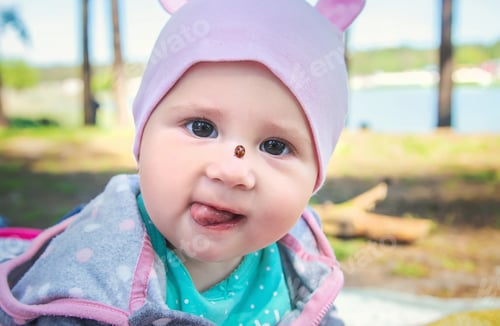 Preview: Baby ladybug on the face. Selective focus.