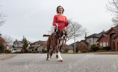 Preview: Athletic Caucasian Adult Woman Running outside with a Boxer Dog.