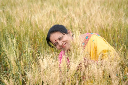 Preview: Beautiful young Indian woman wear in saree at the wheat field