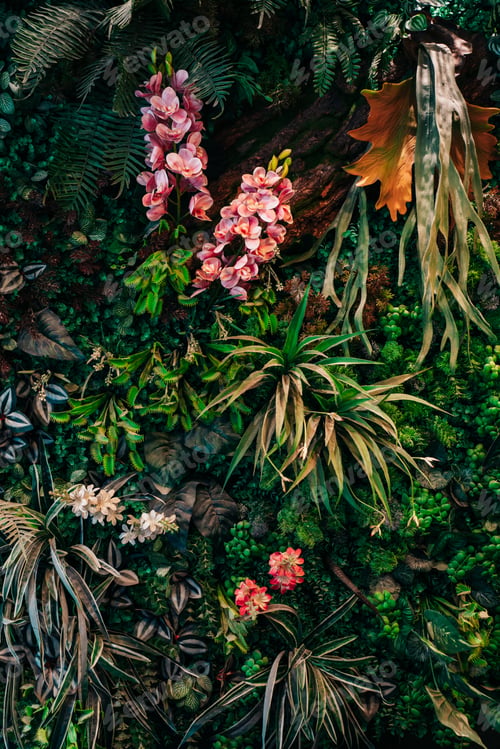 Preview: Close up group of background tropical green leaves texture and abstract background.