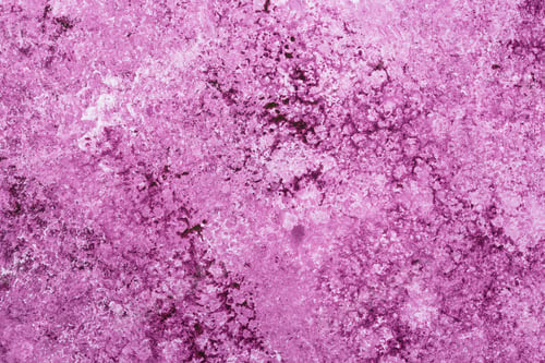 Preview: Abstract concrete lilac or violet background