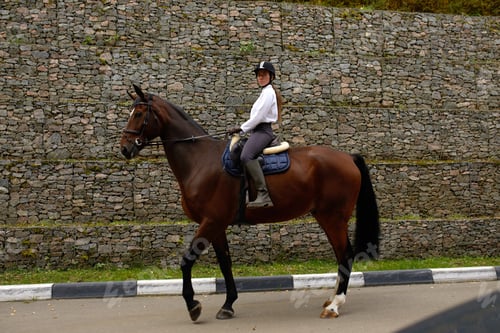 Preview: Beautiful young woman riding a horse outdoor. Concept of animal care. Rural rest and leisure. Idea