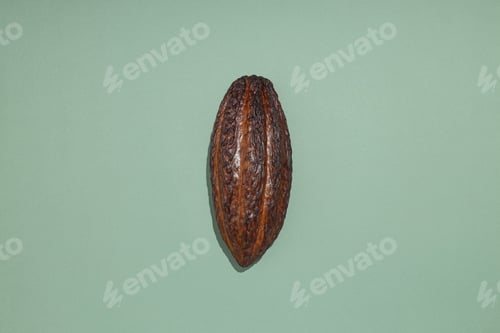 Preview: Concept of fresh and aromatic food - cacao beans
