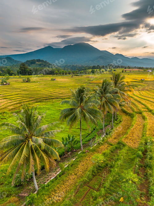 Preview: Beautiful morning view indonesia Panorama Landscape