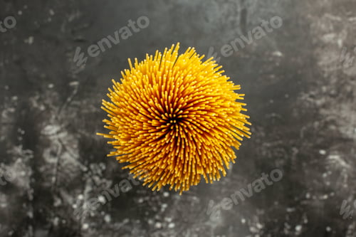 Preview: top view long italian pasta raw on dark-grey background food color photo meal dough cuisine