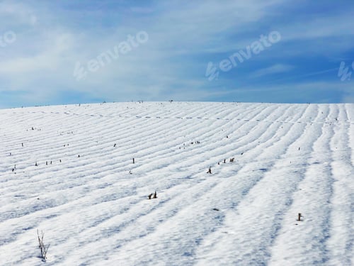 Preview: Winter landscape