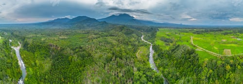 Preview: Beautiful morning view in Indonesia, panoramic landscape of rice fields