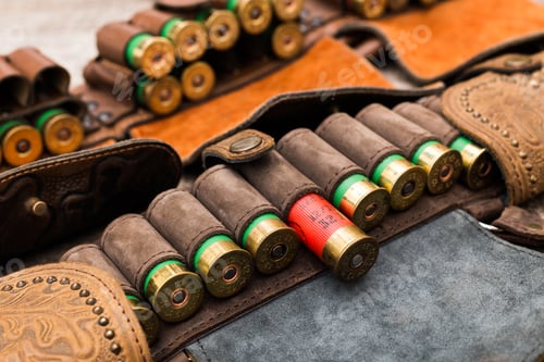 Preview: Leather ammunition holder with various shotgun shells arranged neatly on display during a shooting