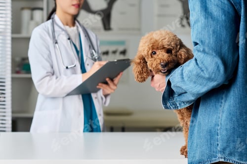 Preview: Unrecognizable Man Bringing Dog To Vet