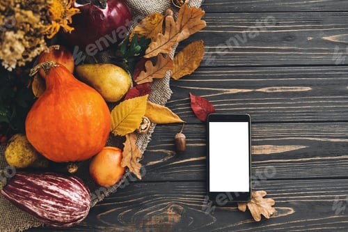 Preview: Phone with empty screen and beautiful pumpkin with bright autumn leaves