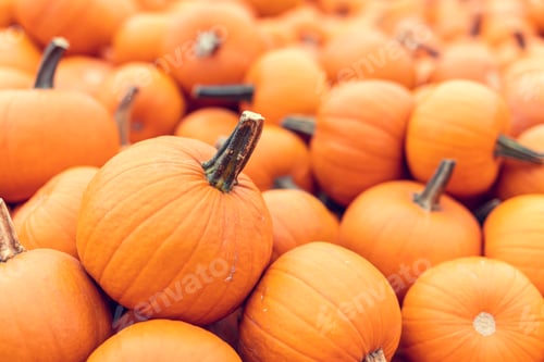Preview: Halloween pumpkins background.