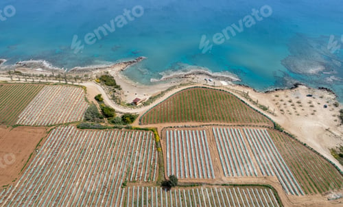 Preview: Aerial drone view of greenhouses in a row, covered with a transparent film of growing vegetables and