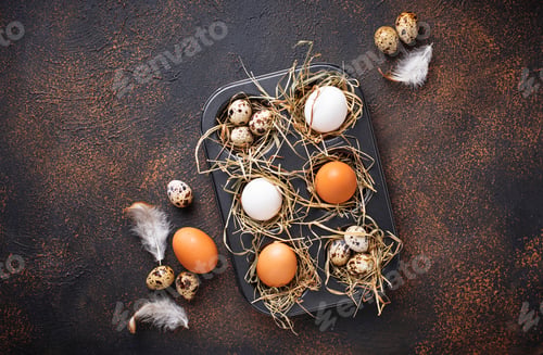 Preview: Fresh raw chicken and quail eggs in sieve