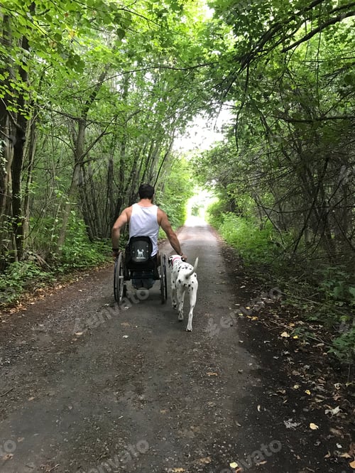 Preview: Man in a wheelchair on a walk in nature with a Dalmatian dog