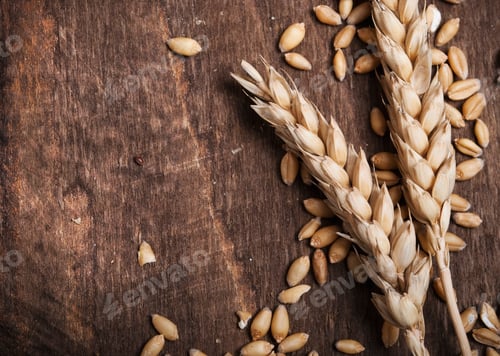 Preview: Wheat