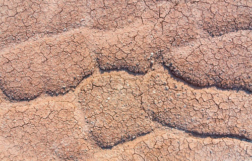 Preview: Dry barren cracked soil background