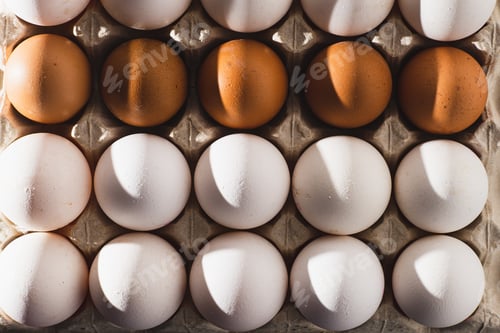 Preview: Egg background. White and brown eggs in a tray. Protein food. Eco organic.