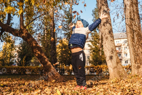 Preview: Child playing with leaves on a crisp fall day