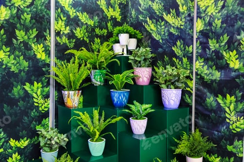 Preview: Elements and details of interior decor, home floriculture, the original design of the shelf shelves