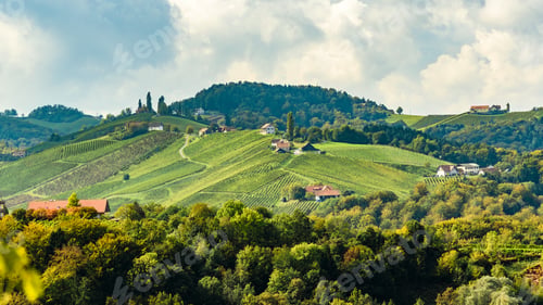 Preview: Austria Vineyards Leibnitz area south Styria travel spot