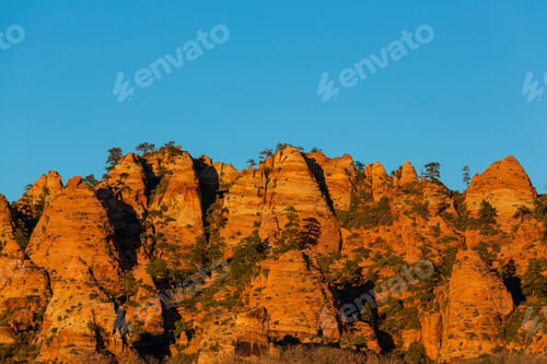 Preview: Zion