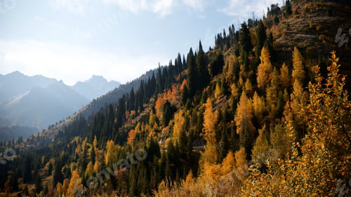Preview: Beautiful autumn nature in the Mountains