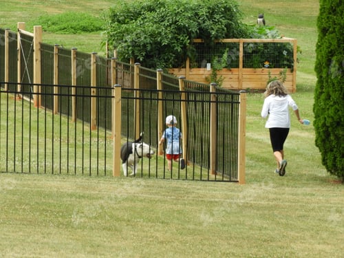 Preview: Little boy, his dog and mom running a race in their backyard on a summer afternoon