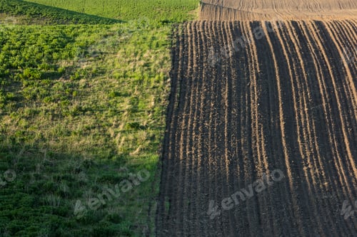 Preview: Rolling hills of tilled farmland and wheat grass, Spring, Palouse