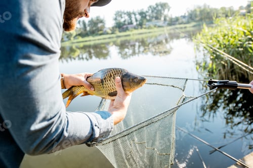 Preview: Fisherman getting fish from the net