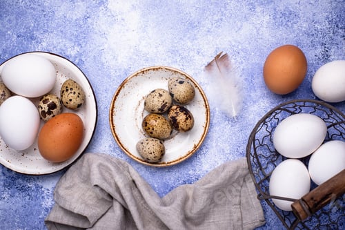 Preview: Quail and chicken eggs on blue background