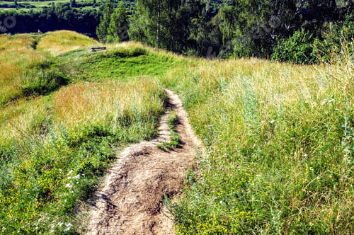 Preview: Field landscape with dirt road