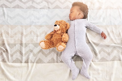 Preview: Sleep is a bear necessity of life
